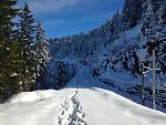 IMG_1426.jpg
