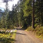 IMG_1386.jpg