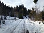 IMG_1400.jpg