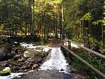 IMG_1388.jpg