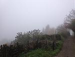 IMG_1974_.jpg