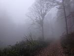 IMG_1977_.jpg