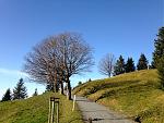 IMG_1529.jpg