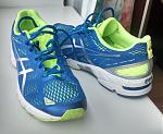 AsicsDsTr19.jpg