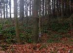 Hochspannung 2014 014.jpg