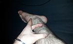 IMG_20141205_032456.jpg