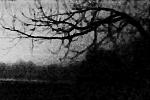 ostpark_006.jpg