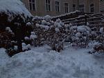 IMG_0942.JPG