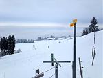 IMG_1705.jpg