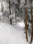 IMG_1710.jpg
