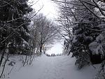 IMG_1713.jpg