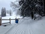 IMG_1715.jpg