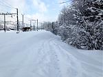 IMG_1716.jpg