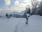 IMG_1723.jpg