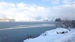IMG_1730.jpg
