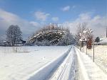 IMG_1733.jpg