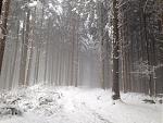 IMG_1758.jpg
