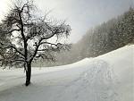 IMG_1759.jpg