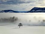 IMG_1786.jpg