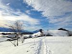IMG_1787.jpg