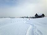 IMG_1791.jpg