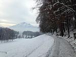IMG_1794.jpg