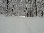 Laufen 20141231.jpg