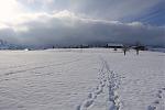 DSC00043.jpg