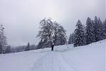DSC00051.jpg