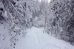 DSC00054.jpg