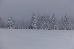 DSC00060.jpg