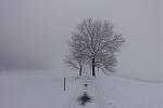 DSC00066.jpg