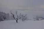 DSC00070.jpg