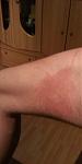 20150121_061227.jpg