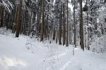 DSC00107.jpg