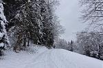 DSC00087.jpg