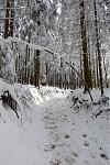 DSC00110.jpg