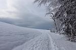 DSC00115.jpg