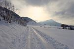 DSC00125.jpg