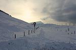 DSC00130.jpg