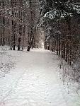 schnee2.jpg