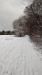 IMG_20150125_105122441.jpg