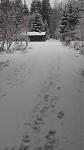 IMG_20150125_111517195.jpg