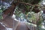 DSC00133.jpg