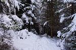 DSC00151.jpg