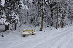 DSC00094.jpg