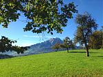 IMG_1254.jpg