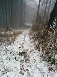 26.01.15 - 4.jpg