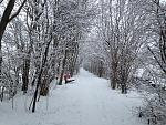 IMG_1831.jpg