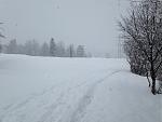 IMG_1835.jpg